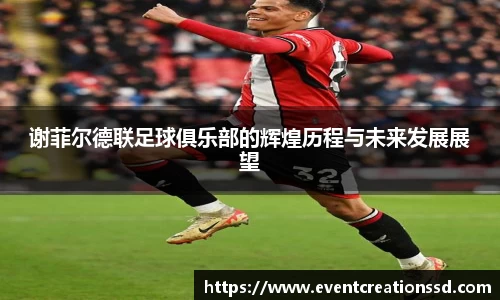 谢菲尔德联足球俱乐部的辉煌历程与未来发展展望